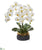Silk Plants Direct Triple Phalaenopsis Orchid Artificial Arrangement - Pack of 1