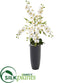 Silk Plants Direct Phalaenopsis Orchid Artificial Arrangement - Pack of 1