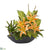 Silk Plants Direct Lily, Cactus and Musa Artificial Arrangement - Orange - Pack of 1