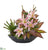 Silk Plants Direct Lily, Cactus and Musa Artificial Arrangement - Pink - Pack of 1