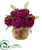 Silk Plants Direct Peony Artificial Arrangement - Pink - Pack of 1