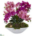 Silk Plants Direct Phalaenopsis Orchid and Succulent Artificial Arrangement - Pack of 1