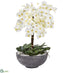 Silk Plants Direct Phalaenopsis Orchid Artificial Arrangement - Pack of 1