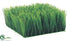 Silk Plants Direct Long Grass Square Mat - Green - Pack of 4