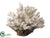 Silk Plants Direct Finger Coral - Natural - Pack of 12