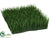 Wheat Grass Mat - Green - Pack of 2