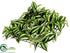 Silk Plants Direct Wandering Jew/Fern Mat - Green White - Pack of 12