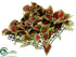 Silk Plants Direct Tradescantia Mat - Fuchsia Green - Pack of 12