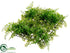Silk Plants Direct Fern Mat - Green - Pack of 12