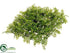 Silk Plants Direct Fern Mat - Green - Pack of 12