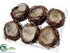 Silk Plants Direct Bird Nest - Brown - Pack of 6