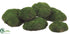 Silk Plants Direct Moss Buns - Green - Pack of 6