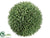 Seed Ball - Green - Pack of 4