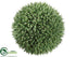 Silk Plants Direct Seed Ball - Green - Pack of 4