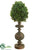 Baby's Tear Egg Shape Topiary - Green - Pack of 6