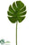 Moss Monstera Leaf Spray - Green - Pack of 12