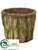 Container - Green Brown - Pack of 12