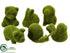 Silk Plants Direct Moss Animal - Green - Pack of 2