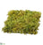 Plastic Moss Mat - Green Moss - Pack of 10