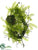 Sedum, Moss, Fern Floating Pad - Green Burgundy - Pack of 12