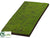Moss Foam Tile - Green - Pack of 4