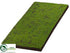 Silk Plants Direct Moss Foam Tile - Green - Pack of 4