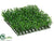 Boxwood Mat - Green - Pack of 6
