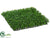 Boxwood Mat - Green - Pack of 1