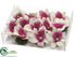 Silk Plants Direct Dendrobium Orchid Head - Cream Orchid - Pack of 12