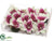 Dendrobium Orchid Head - Cream Orchid - Pack of 12