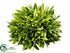 Silk Plants Direct Olive Leaf Ball - Green - Pack of 12