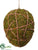 Moss Egg - Green Brown - Pack of 6