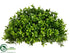 Silk Plants Direct Boxwood Half Ball - Green Two Tone - Pack of 6