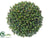 Silk Plants Direct Sedum Orb - Green - Pack of 6