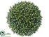 Silk Plants Direct Sedum Orb - Green - Pack of 6
