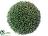 Silk Plants Direct Sedum Orb - Green - Pack of 4
