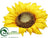 Sunflower Head - Yellow - Pack of 12