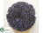 Sedum Orb - Green Lavender - Pack of 12