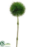 Silk Plants Direct Chestnut Ball - Green - Pack of 12