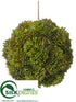 Silk Plants Direct Sedum Orb - Green - Pack of 6
