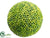 Berry Orb - Green - Pack of 12