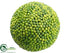 Silk Plants Direct Berry Orb - Green - Pack of 12