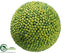 Silk Plants Direct Berry Orb - Green - Pack of 12