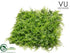 Silk Plants Direct Outdoor Fern Mat - Green - Pack of 12