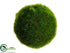 Silk Plants Direct Moss Ball - Green - Pack of 12