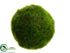 Silk Plants Direct Moss Ball - Green - Pack of 12