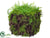 Silk Plants Direct Moss Cube - Green - Pack of 24