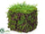 Silk Plants Direct Moss Cube - Green - Pack of 12