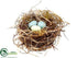 Silk Plants Direct Bird's Nest - Natural - Pack of 6