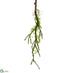 Silk Plants Direct Moss Hanging Spray - Green - Pack of 12